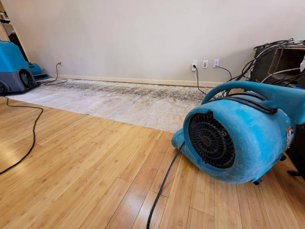 Professional Water Damage Repair technician working in Janesville, CA